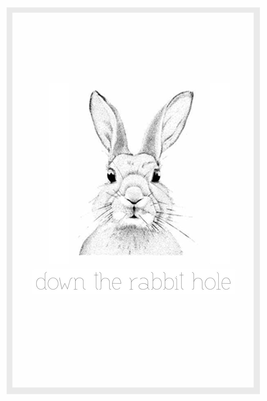 Down The Rabbit Hole