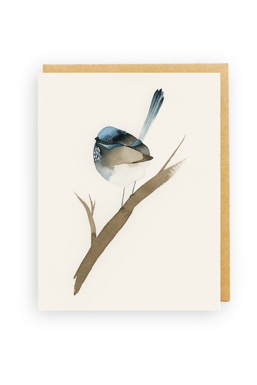 Squirrel Design Studio-Blue Fairy Wren - Greeting Card-Mott and Mulberry