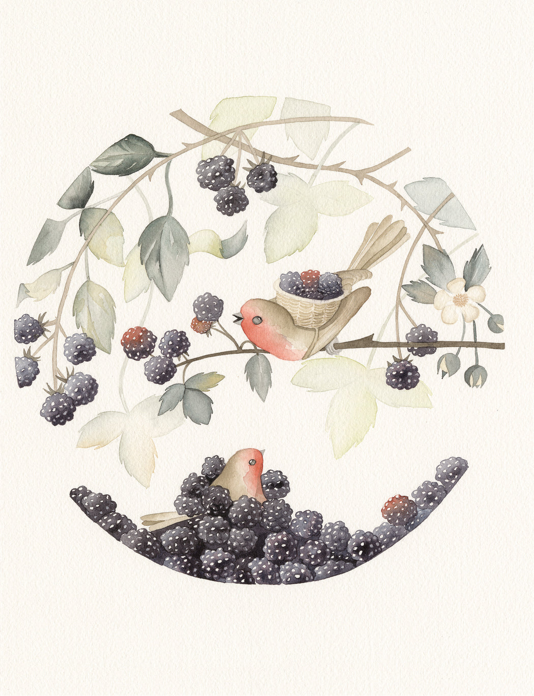Squirrel Design Studio-The Harvest - Greeting Card-Mott and Mulberry