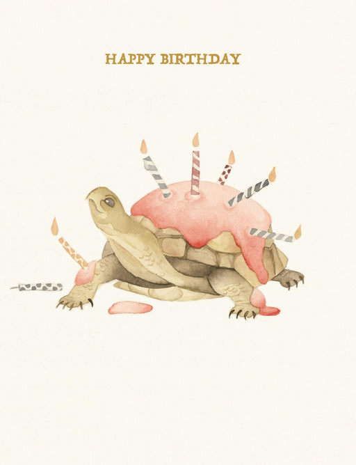 Squirrel Design Studio-Tortoise Cake - Birthday Card-Mott and Mulberry