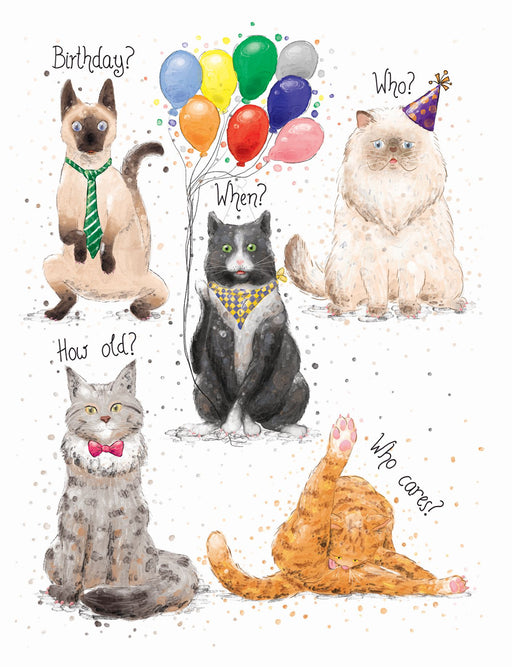 Squirrel Design Studio-Birthday Cats - Birthday Card-Mott and Mulberry